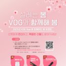 보그헤어(VOG Hair) 머니투데이