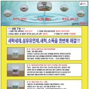 [업그레이드]가정필수세제 4종셋트(행사용,선물용-액상세탁세제,섬유유연제,세척소독제,식기세척제) 이미지