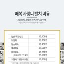 서울미네르반치과의원 이미지