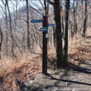 대운산 내원암 계곡 이미지