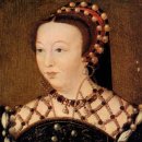 메디시스 이미지