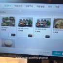 경이로운 금돈