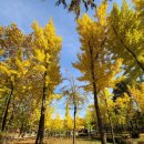 원적산공원 이미지