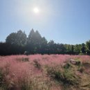 사회복지사 | 타직종 이직 성공, 탈사복 | 이제는 그만둔 사회복지사 후기