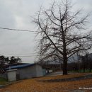 노인회관 옆 이미지