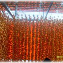 미니 슈퍼 이미지