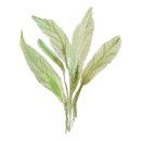 명지(병설)유치원 이미지