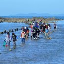 전곡리어촌체험휴양마을 이미지