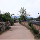 금당실전통마을 이미지