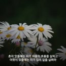 미소에너지