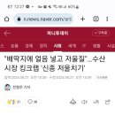 보배수산