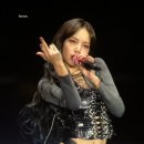 리사파크 네이버블로그