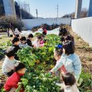 봉산농장 이미지