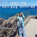 푸른태평양약국 | 하와이 가족여행 주의사항 : 아시아나 항공 사전 좌석배정 방법 + 하로나 블로홀