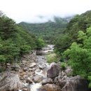 무릉계곡 이미지