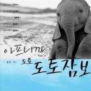 도토 이미지
