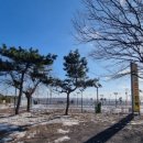 제부매바위팬션민박 이미지