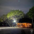 차박 여행지 추천 - 강원도 영월 캠핑장 후기
