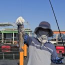 덕진호 좌대낚시터 이미지