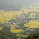 그린목장 이미지