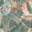 내리목장 이미지