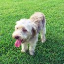 개토피아 이미지