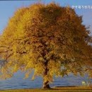 한국재가장기요양기관 | 중랑구 연로하신 부모님 위한 요양원 추천 한국재가장기요양기관 안전하고 따뜻한 공간