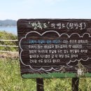 몽중루의 섬산 기행, 고군산 무산십이봉(방축도) 걷기 이미지