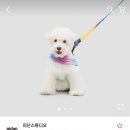 스튜디오버디 이미지