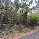 회수마을회관 이미지