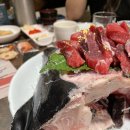 김낙천 참치 이미지