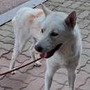 (구)청호시장 이미지