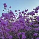 청년 필라테스 이미지