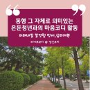 행복한 미래를 위한 발견_진로지능을 높여라(2차시) | 고립,은둔 청년 지원 &#39;마음코디&#39; 활동 - 미래내일 일경험 ESG지원형 잡택트캠프 2기 - 매주 대면으로...