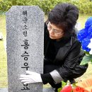 홍승우 Daum카페