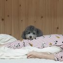 코티지 309 이미지