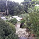 중앙탑면사무소 이미지