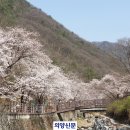소요산관광지 의양신문