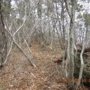 현산 고다산성 이미지