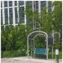 삼봉중앙로 공원 이미지