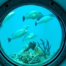 마린파크 약국 이미지