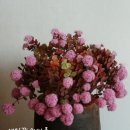 환타지아 이미지