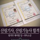 [산림자격증] 산림기사, 산림기능사 최종 합격후기 및 혜택 - 이후 해야 할 일 정리, 소감