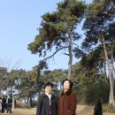 시제 이미지