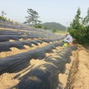 잘커농장 이미지