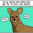 가보호텔 이미지