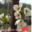 백사농장 이미지