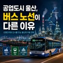 경암사거리1(서광전기물류앞 교통섬) | 울산 버스 회사 완전 정리 — 공업도시 구조가 노선을 어떻게 만들었나 (2026년 최신)