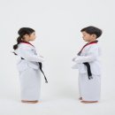 금호태권도장 이미지