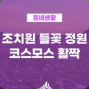 세종시 조치원청사 이미지